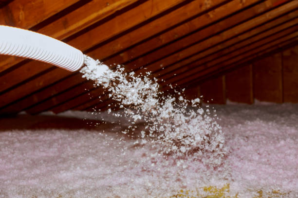 Best Affordable Insulation Services  in USA